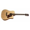 Richwood D-20-CE